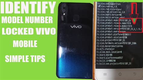 how to find vivo phone model